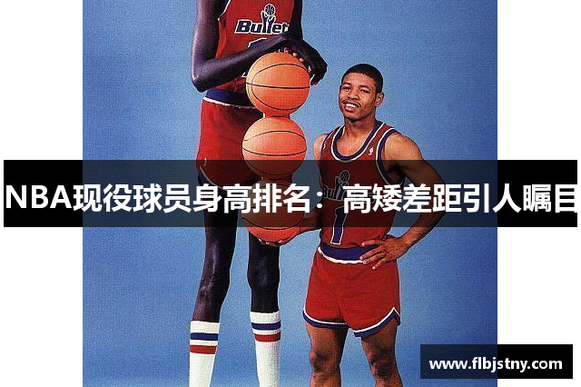 NBA现役球员身高排名：高矮差距引人瞩目